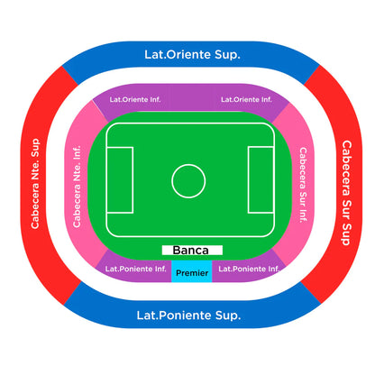 Chivas vs Pumas